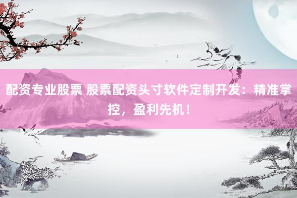 配资专业股票 股票配资头寸软件定制开发：精准掌控，盈利先机！