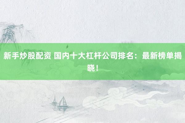 新手炒股配资 国内十大杠杆公司排名：最新榜单揭晓！