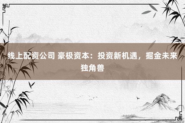 线上配资公司 豪极资本：投资新机遇，掘金未来独角兽