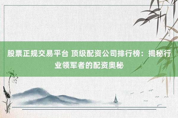 股票正规交易平台 顶级配资公司排行榜：揭秘行业领军者的配资奥秘