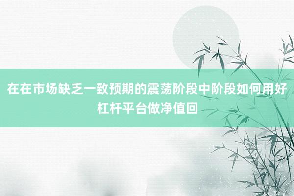 在在市场缺乏一致预期的震荡阶段中阶段如何用好杠杆平台做净值回