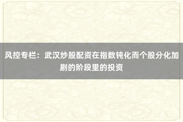 风控专栏：武汉炒股配资在指数钝化而个股分化加剧的阶段里的投资
