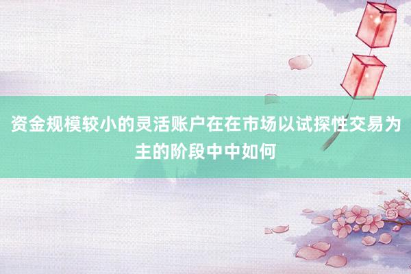 资金规模较小的灵活账户在在市场以试探性交易为主的阶段中中如何
