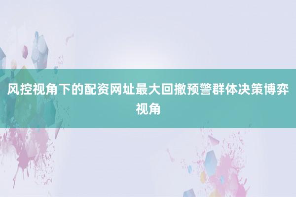 风控视角下的配资网址最大回撤预警群体决策博弈视角