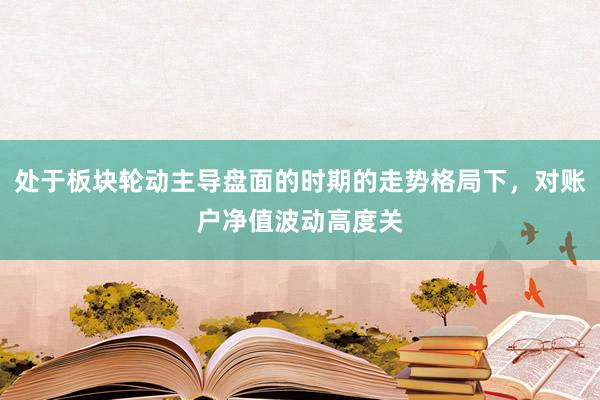 处于板块轮动主导盘面的时期的走势格局下，对账户净值波动高度关