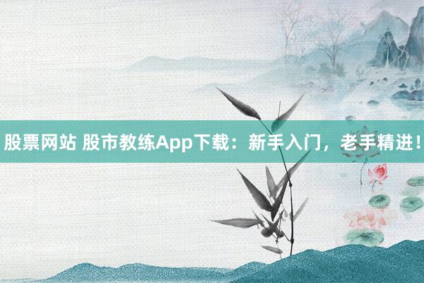 股票网站 股市教练App下载：新手入门，老手精进！