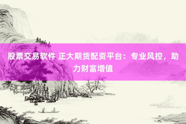 股票交易软件 正大期货配资平台：专业风控，助力财富增值
