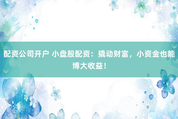 配资公司开户 小盘股配资：撬动财富，小资金也能博大收益！