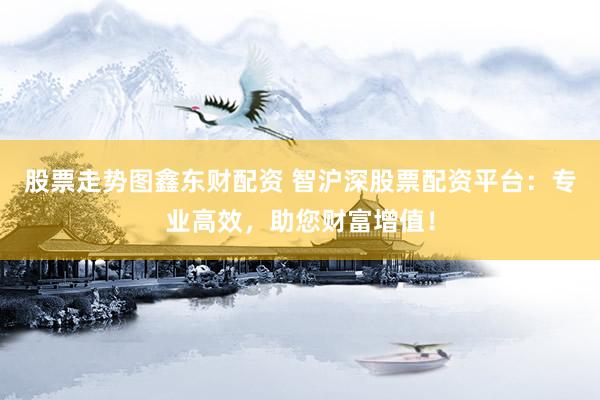 股票走势图鑫东财配资 智沪深股票配资平台：专业高效，助您财富增值！